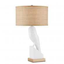 Currey 6000-0816 - Snowy Owl Table Lamp
