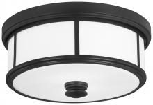 Minka-Lavery 4365-66A - 2 LIGHT CEILING LIGHT