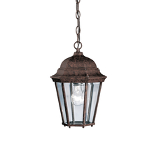  9805TZ - Outdoor Pendant 1Lt