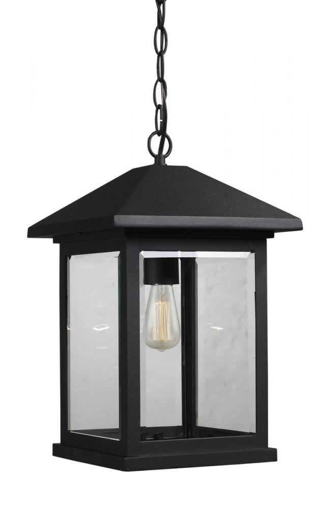 1 Light Outdoor Chain Mount Ceiling Fixture