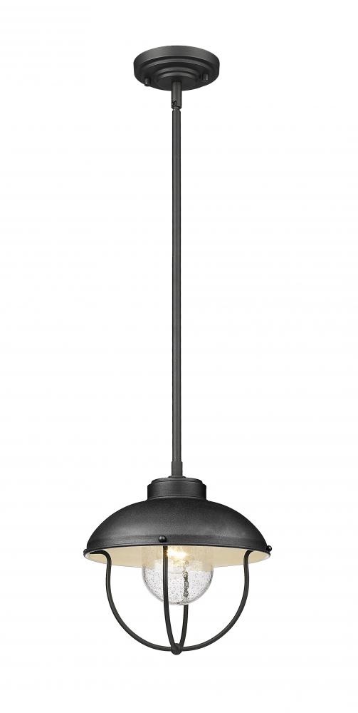 1 Light Outdoor Pendant