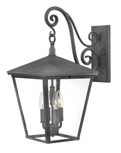 Hinkley 1435DZ-LL - Large Wall Mount Lantern